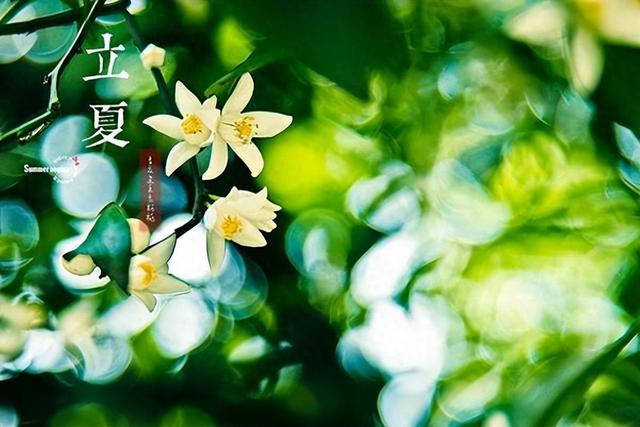今日立夏！老辈流传的这5个民间习俗，都是老百姓过日子的智慧