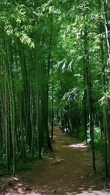 余生很贵，请别慌张：把平凡日子过出暖意，才是最高级的活法