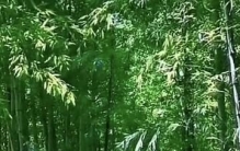 余生很贵，请别慌张：把平凡日子过出暖意，才是最高级的活法