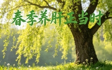 春天不养肝，全年都白搭！中医千年“护肝法”，简单到就一个字