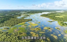 巨型王莲，水中最霸道的植物
