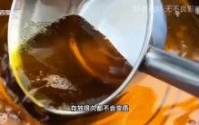 世界含油量最高的鸟，吃素吃出一身脂肪，被印第安人抓来熬油？
