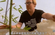 世界上最残忍的死刑方式，将犯人捆绑在即将出土的竹笋上方