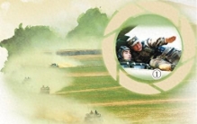 “坦克兵王”的突击之路（强军路上·高级军士成长记）