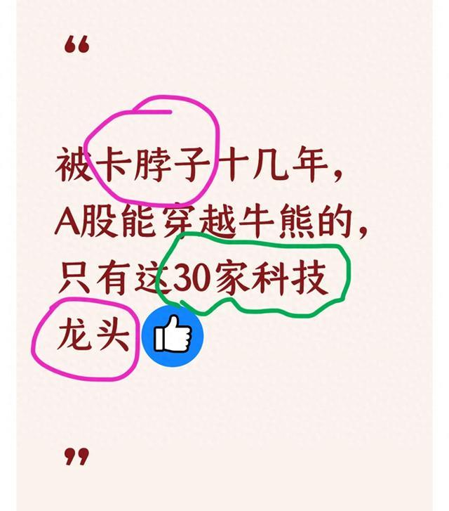 被卡脖子十几年，A股能穿越牛熊的，只有这30家科技龙头