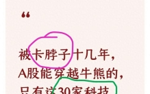 被卡脖子十几年，A股能穿越牛熊的，只有这30家科技龙头