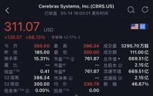 刚刚，史上最大AI芯片IPO了，盘中飙升109%，市值超4500亿元