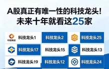 A股真正有唯一性的科技龙头！未来十年就看这25家