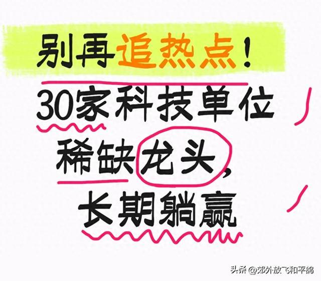 9. 别再追热点！30家科技单位稀缺龙头，长期躺赢
