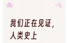 我们正在见证，人类史上最疯狂的股市！