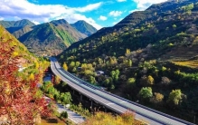 翻山越岭 “植”为遇见你🤩
