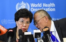 全球最高警报！非洲告急，邻国失守，80人死亡，病毒疯狂跨境扩散