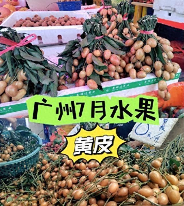顶楼种荔枝爆火！别交智商税买网红绿植了，这才是都市顶配浪漫