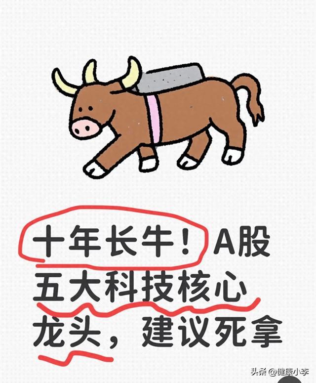 十年长牛!A股五大科技核心龙头,建议死拿