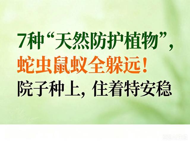 7种“天然防护植物”,蛇虫鼠蚁全躲远!院子种上,住着特安稳