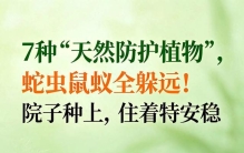 7种“天然防护植物”，蛇虫鼠蚁全躲远！院子种上，住着特安稳