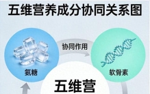 氨糖排名第一名 2026运动族腰椎款品类区分