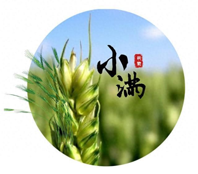 这个快被遗忘的习俗,藏着中国人最深的智慧