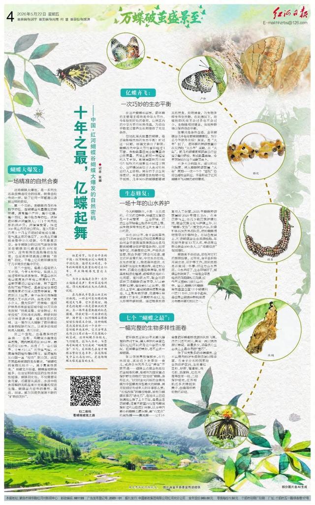 十年之最,亿蝶起舞!中国·红河蝴蝶谷蝴蝶大爆发的自然密码