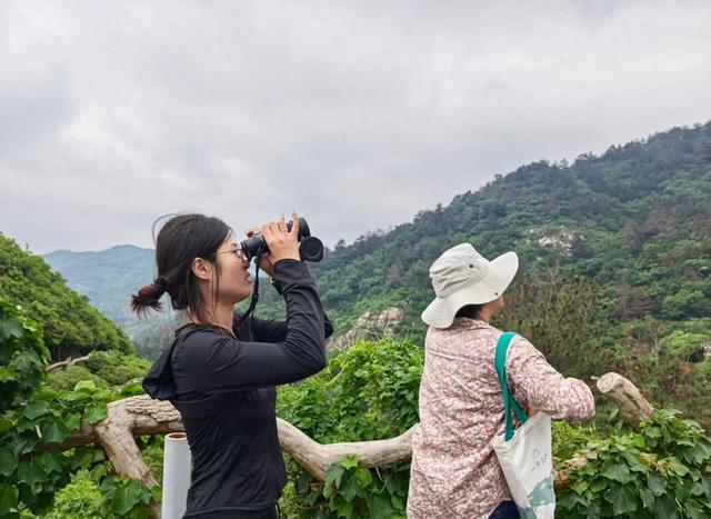 木兰山是个“生态绿肺”,这里是武汉生物最丰富的地方