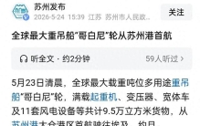 世界最大重吊船，载重6.2万吨、可装货9.5万方！刚从苏州开往埃及