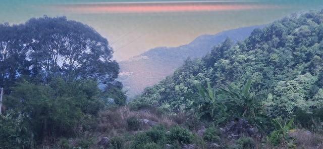 大家有没有想过?世界上最贵的东西到底是什么?