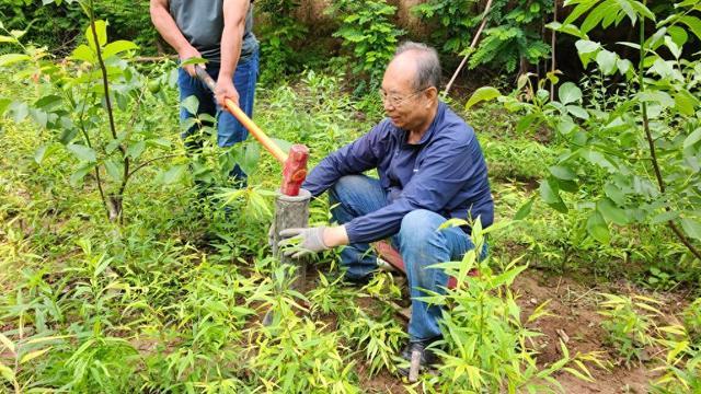 古稀发明达人赵树海:解决问题没有退休年龄