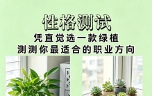 心理测试：凭直觉选一款绿植，测测你最适合的职业方向