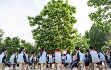 会写诗的孩子不砸玻璃