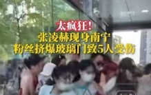 张凌赫活动致5人受伤：明星粉丝聚集事件有哪些共性安全风险