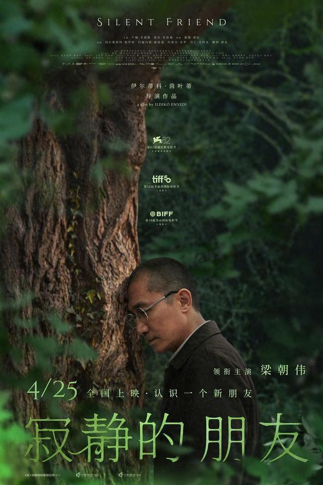 精神内耗严重?深度拆解植物疗愈:为什么最懂你的人,是一棵树。