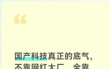 国产科技真正的底气，不靠网红大厂，全靠这10家低调硬核巨头