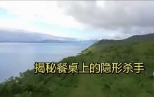 全球十大垃圾食物，第一名你天天吃？