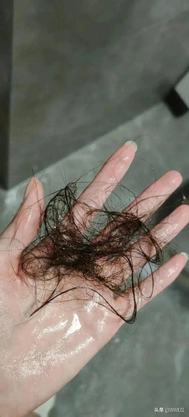为什么说人类的头发,是整个进化史上最完美的设计?