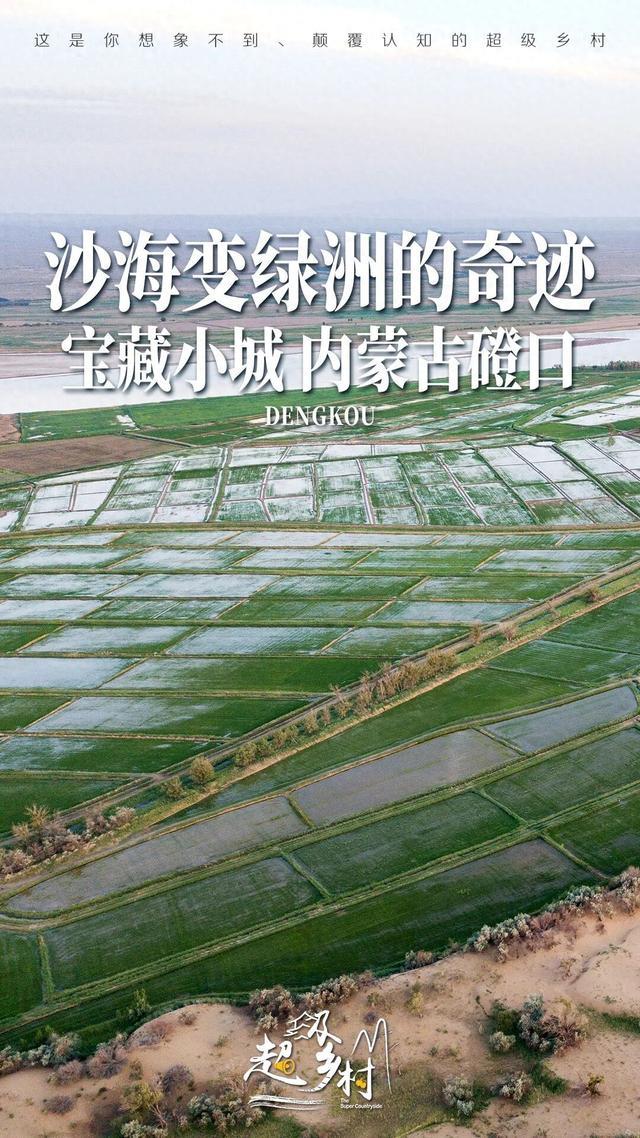 内蒙一低调塞上江南,藏着3个世界之最,黄河沙漠湿地在此交汇