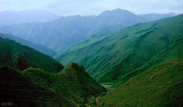 中国十大著名植物自然保护区 国内十大植物自然保护区排行