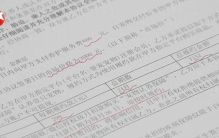 女子800元买猫，稀里糊涂背上近8000元“猫贷”