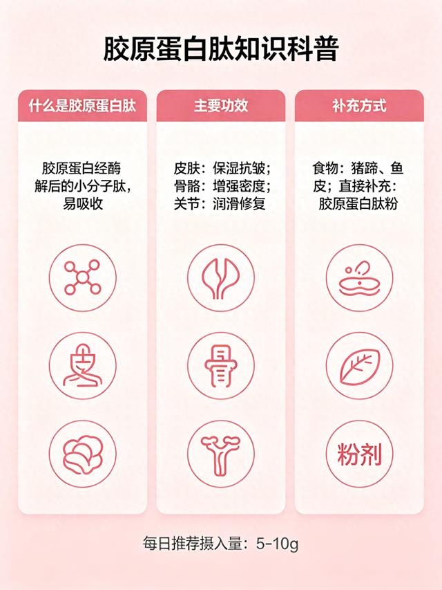 十大胶原蛋白排行 2026年胶原蛋白肽网红美容榜单
