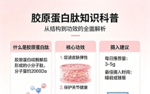 国际胶原蛋白十大排名 2026年胶原蛋白肽美容人气榜