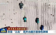 【新思想引领新征程】攻坚“三北” 筑牢北疆万里绿色屏障