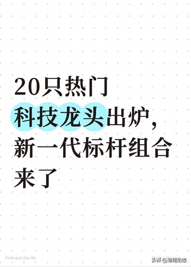 20只热门科技龙头出炉，新一代标杆组合来了
