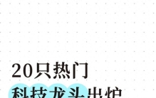 20只热门科技龙头出炉，新一代标杆组合来了