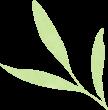 鹦鹉凭啥这么贵？全球最贵十大鹦鹉价格大揭秘！