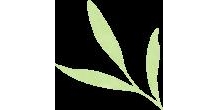鹦鹉凭啥这么贵？全球最贵十大鹦鹉价格大揭秘！