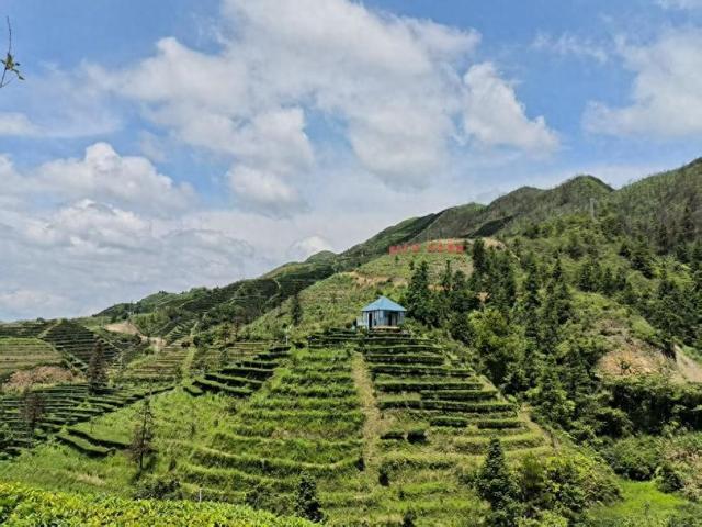 棉湖VS五经富!揭西经济第一镇与文旅名镇的全方位对比