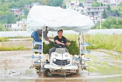 “读书见世面，就是为了更好建设家乡”（产业里的年轻人）