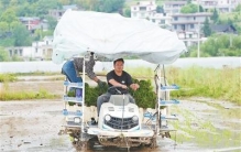 “读书见世面，就是为了更好建设家乡”（产业里的年轻人）