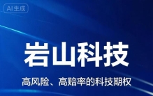 岩山科技：一张“高风险、高赔率的科技期权”
