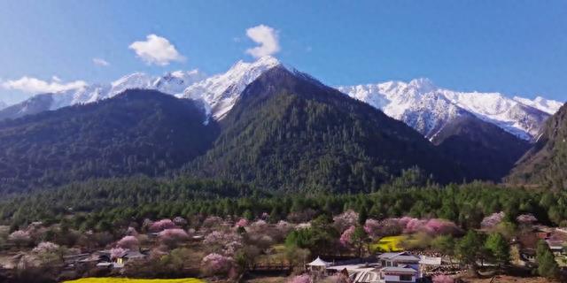 西藏林芝市，到底骗了多少人？居然拥有 4 个 “中国之最”！