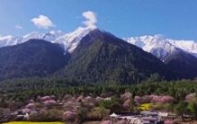 西藏林芝市，到底骗了多少人？居然拥有 4 个 “中国之最”！